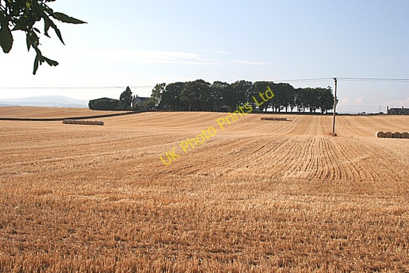 Photo 6"x4" Upper Drumgley Drumgley c2006