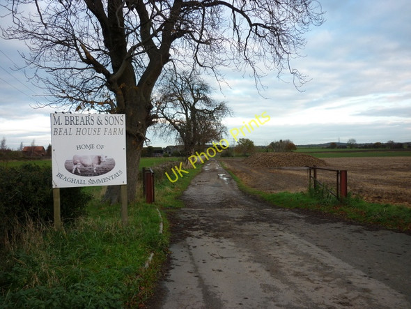 Photo 6"x4" The entrance to Beal House Farm, Beal Beal\/SE5325 c2010