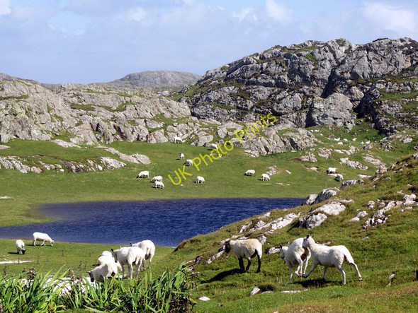 Photo 6"x4" Temporary pool Baile M\u00f2r c2005