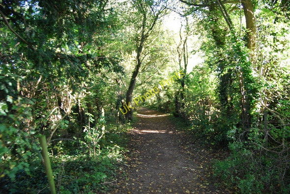 Photo 6"x4" Bridleway heading south Selsdon c2010