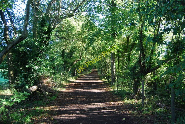 Photo 6"x4" Bridleway heading from Croham Hurst Selsdon c2010