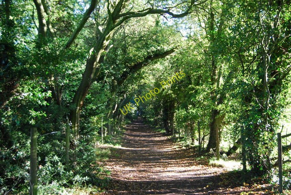 Photo 6"x4" Bridleway to the B275 Selsdon c2010