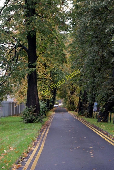 Photo 6"x4" Road to Renfrew Golf Club Clydebank\/NS4970 c2010