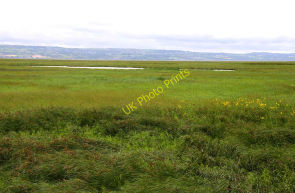 Photo 6"x4" The Dee Marsh at Neston Neston\/SJ2877 c2010