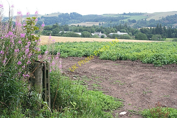 Photo 6"x4" West Mains of Finavon Milton of Finavon c2006