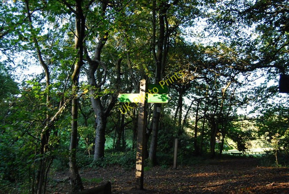 Photo 6"x4" Vanguard Way and LOOP part company, Littleheath Wood Selsdon c2010