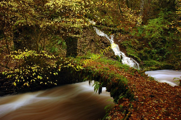 Photo 6"x4" Old bridge and folly in Reelig Glen South Clunes c2006