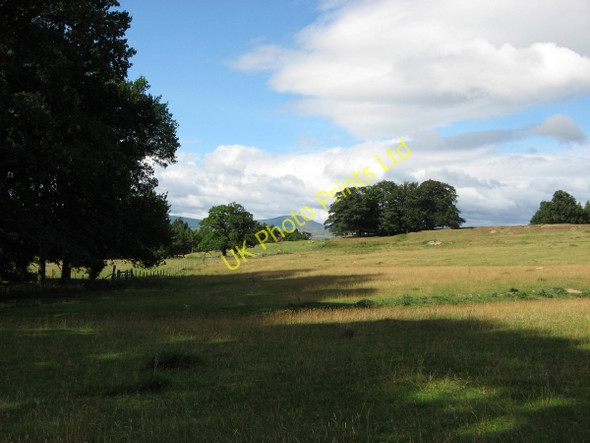 Photo 6"x4" Moor Dam Plantation, Chillingham Chillingham c2006