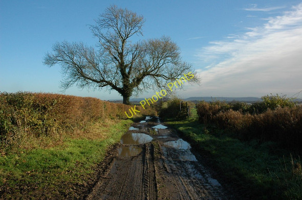 Photo 6"x4" Track at Awre Awre c2010