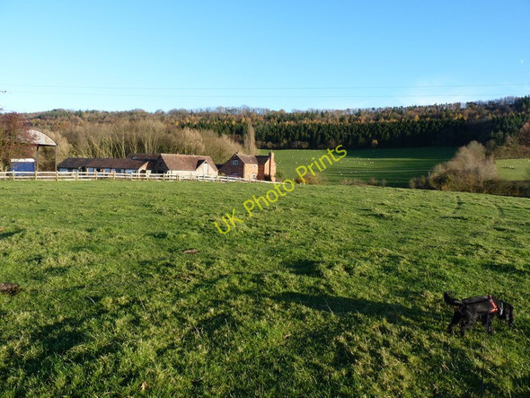 Photo 6"x4" Easthope Wood Farm Easthopewood c2010