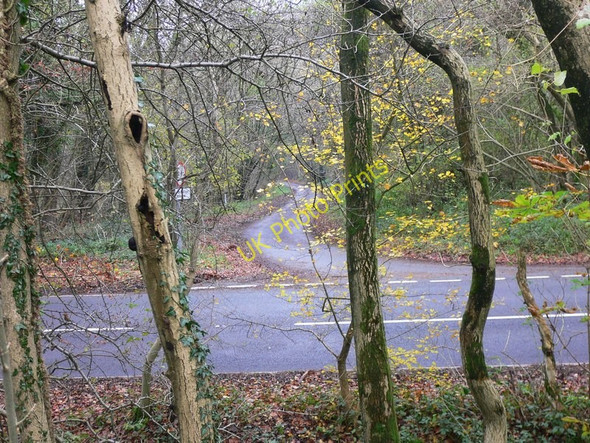Photo 6"x4" The top of Hill Lane South Harting c2010