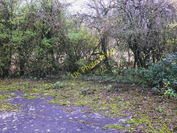 Photo 6"x4" On top of the reservoir on Main Down South Harting c2010