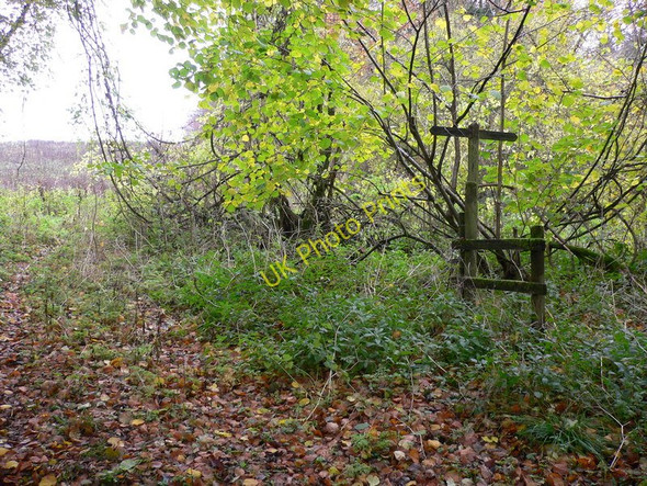 Photo 6"x4" Footpath sign by woodland South Harting c2010