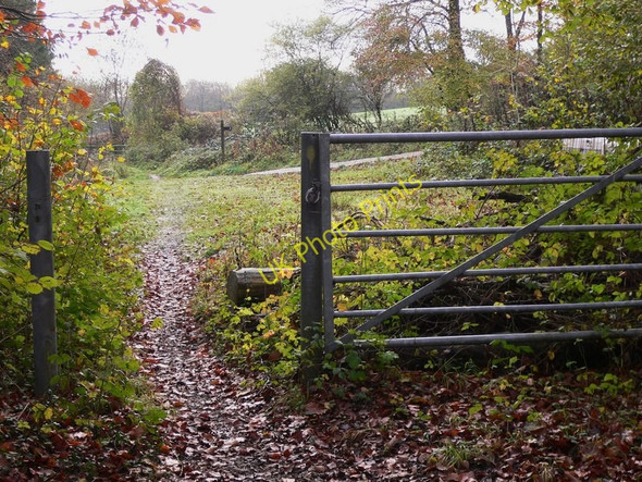 Photo 6"x4" Junction in Hudsons Copse South Harting c2010