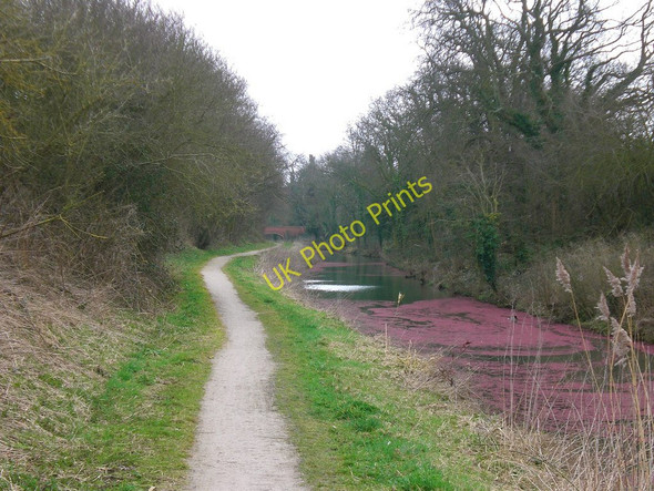 Photo 6"x4" Grantham Canal west of Harlaxton Wharf Harlaxton c2009