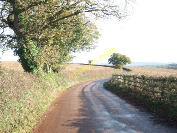 Photo 6"x4" Days Pottle Lane, near Peamore Arch Kennford c2010