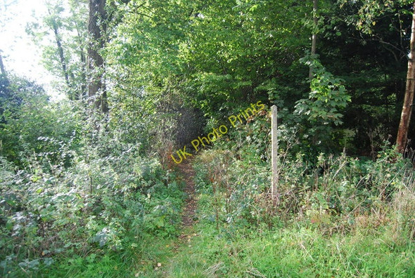 Photo 6"x4" Footpath off Tapsell's Lane Durgates c2010