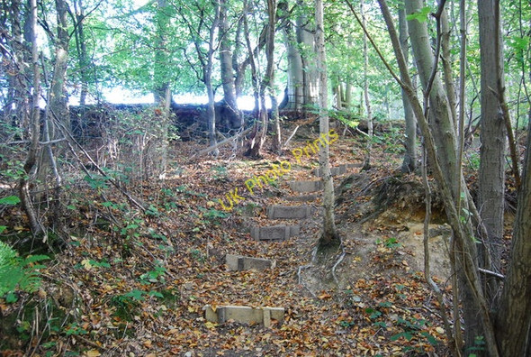 Photo 6"x4" Steps, Sussex Border Path, Chase Wood Best Beech Hill c2010