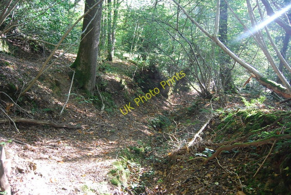 Photo 6"x4" Sussex Border Path, Long Shaw Best Beech Hill c2010
