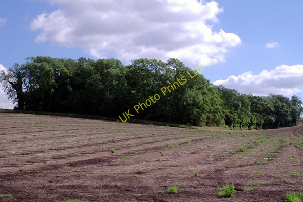 Photo 6"x4" Fox Covert South Ferriby c0