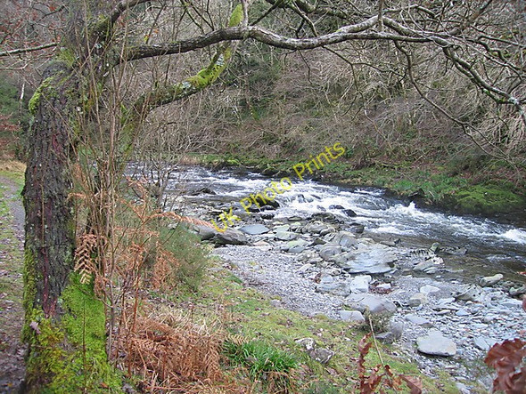 Photo 6"x4" Afon Ystwyth, Hafod estate Cwmystwyth c2010 P1