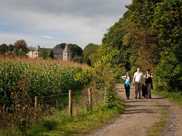 Photo 6"x4" Maize and Hodder Hall Great Mitton c2010