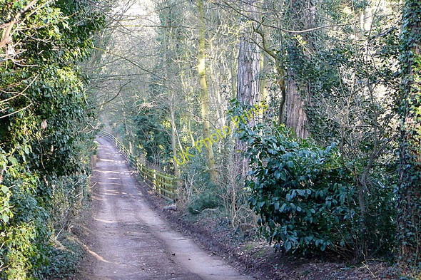 Photo 6"x4" Bridleway near Lower Shiplake Henley-on-Thames c2010