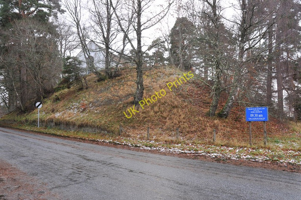 Photo 6"x4" Insh church hiding amongst the trees Kincraig\/NH8305 c2010