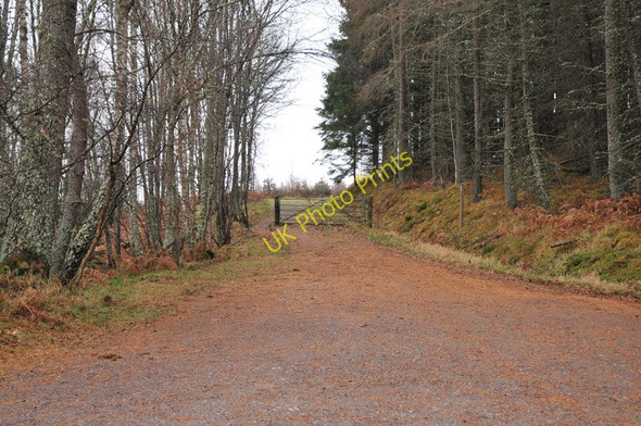 Photo 6"x4" Forestry road into Inshriach Forest Insh\/NH8101 c2010