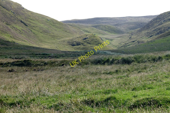 Photo 6"x4" Dale of Woodwick from the north Baliasta\/HP6009 c2008