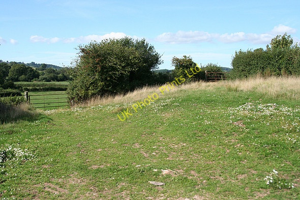 Photo 6"x4" Yarcombe: by Bridge Meadow North Waterhayne c2006