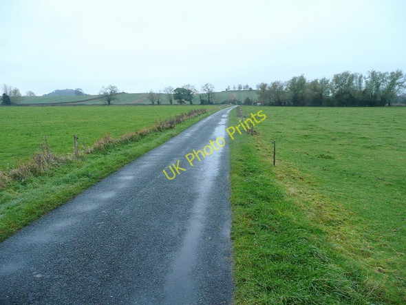 Photo 6"x4" Lane across Eldersfield Marsh Bridge End\/SO8031 c2010