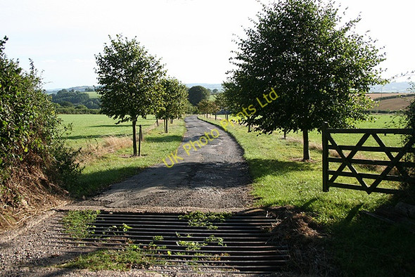 Photo 6"x4" Wambrook: entrance to Deerhams Farm Crawley\/ST2607 c2006