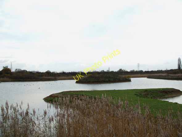 Photo 6"x4" Wick Country Park Wickford c2010