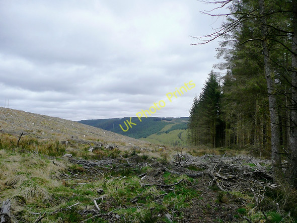 Photo 6"x4" The Tywi Forest on Cnwch Rhiwhalog, Ceredigion Cefn Ty'n-y-graig c2010