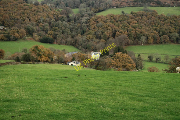 Photo 6"x4" Wray Barton Doccombe c2010