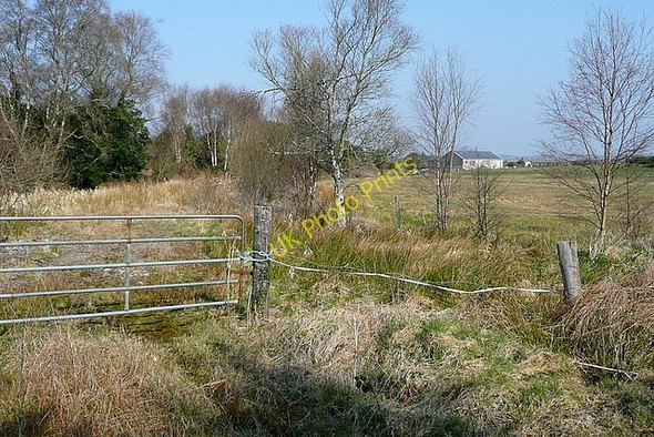 Photo 6"x4" Pasture and woodland at Cloonmacken Inagh c2010