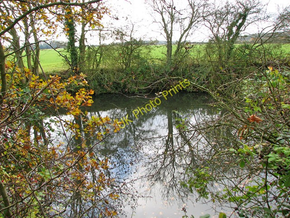 Photo 6"x4" Pond south-east of Park Farm, Stow Bardolph Crimplesham c2010