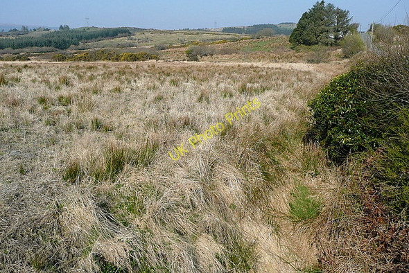 Photo 6"x4" Rough grazing at Fermoyle Oughterargh Connolly c2010