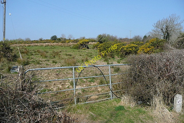 Photo 6"x4" Rough grazing at Knocknakilla Connolly c2010
