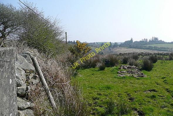 Photo 6"x4" Pasture at Ballyillaun Kilnamona c2010