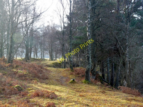 Photo 6"x4" Footpath by the Blackwater River Garve \/ Gairbh c2010