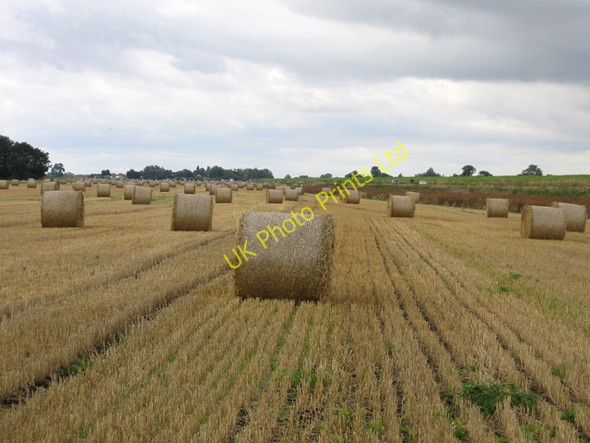Photo 6"x4" Bales of wheat straw, Sutton, Cambs The Hermitage c2006