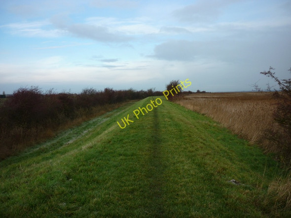 Photo 6"x4" The banks of the River Humber Winteringham c2010
