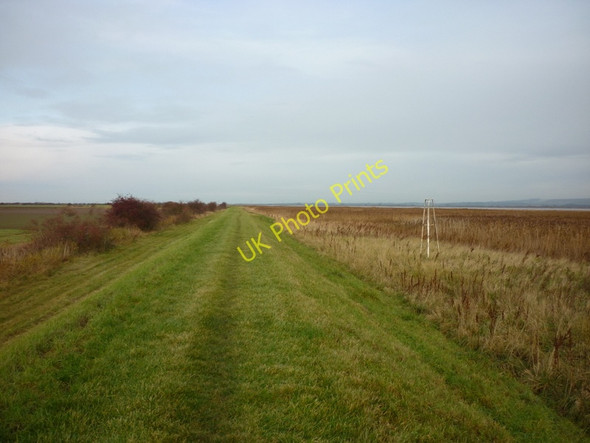 Photo 6"x4" South bank of the River Humber Winteringham c2010