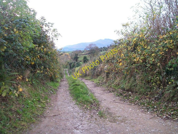 Photo 6"x4" Track running south from Moneylane Road towards the Moneycarragh River Dundrum\/J4036 c2010
