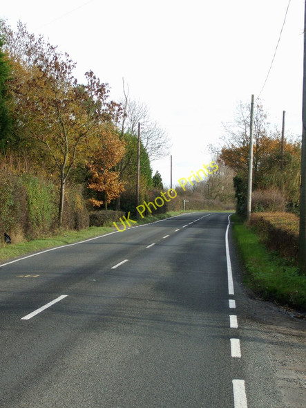 Photo 6"x4" B1018 looking East Roundbush\/TL8501 c2010
