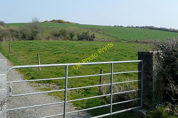 Photo 6"x4" Farmland at Garrynagry Kilnamona c2010