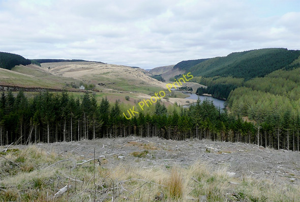 Photo 6"x4" The Tywi Forest by Llyn Brianne, Ceredigion Cefn Ty'n-y-graig c2010