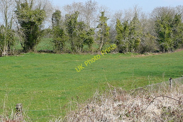 Photo 6"x4" Pasture at Mahonburgh Bridge Mahonburgh c2010